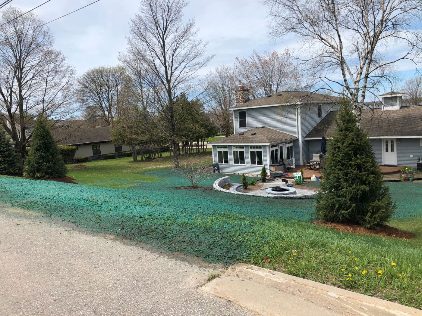 Freshly hydroseeded lawn and driveway under mature trees